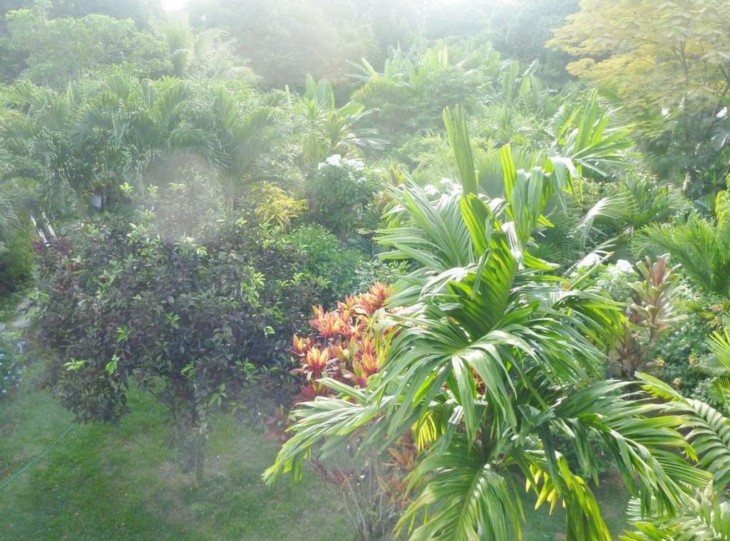 La Batie Selfcatering Apartment Beau Vallon  Zewnętrze zdjęcie